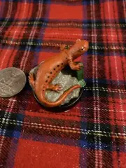 Tim Wolfe … Newts