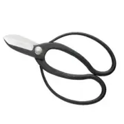 Kikuwa seal for full -time work blue paper scissors /bonsai bonsai From Japan