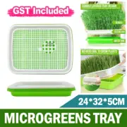 Bean Sprouts For Planting Soilless Cultivation Vegetable Equip Ment Home AU