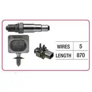 RAE Oxygen Sensor - OX791