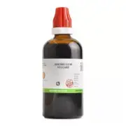 BJain Foeniculum Vulgare 1X (Q) Mother Tinctures (100ml)