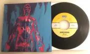 Nirvana / Sliver & Dive / Sub-Pop 1990 45 PS / Mint