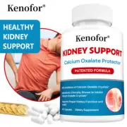 Kidney Support Supplement Protect Kidney Function Health 30 To 120 Capsules