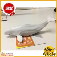 在飛比找露天拍賣優惠-【橙子商鋪-免運好評多多】模玩PNSO動物園成長陪伴模型白鯨