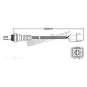 PAT Oxygen/Lambda Sensor Pre-Catalytic Converter/Manifold - EGO-665