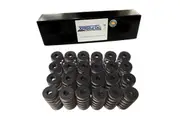 XR6 Turbo Developments BA-FG 24 x Race Valve Springs & Retainers XTD-VSRK24