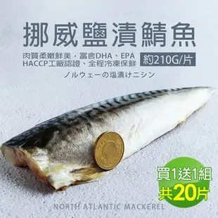【築地一番鮮】厚片超大油質豐厚挪威薄鹽鯖魚10片免運組(210g/片)-買一送一
