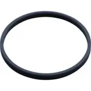 Hayward DV5000/KingRay Diaphragm Band