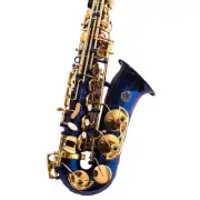 Blue Alto Saxophone with E-flat Key for Beginners To Perform Professionally