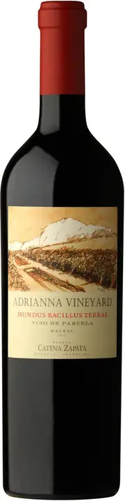 2015 Mundus Bacillus Terrae 3000ml - Buy Online | The Wine Collective International Marketplace