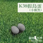 假鳥蛋-小顆黑 K38 日本小林 | 金絲雀 文鳥 十姊妹 雀科適用 避免母鳥產蛋過度 假蛋 《寵物鳥世界》SX041