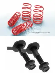 EIBACH 4.10135/5.81260K Set of 4 Sportline Springs & Camber Bolt for Mustang V8 (for: Ford)
