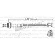 PAT Oxygen/Lambda Sensor Post Catalytic Converter - EGO-408