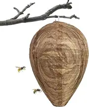 Wasp Repellents Outdoor | Waterproof Carpenter Bee Traps for Outdoors - Nest Removal Tool Carpenter Bee Traps, Eco-Friendly Repellents for Wasps Hornets Yellow Jackets