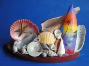 Seashell Sea Shell Arrangement w/ Surfboard. Philippines