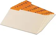 Oxford 05832 Laminated Tab Index Card Guides, Daily, 1/5 Tab, Manila, 5 x 8 (Set of 31)