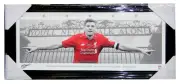 Steven Gerrard Liverpool FC Mini Wings