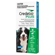 Credelio Plus Dog X Large 22-45kg Blue 1 Pack 3 Pack 6 Pack Flea Tick Worm Pet