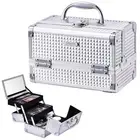 Makeup Box Cosmetic Train Case Jewelry Organizer Lockable with Keys and Mirro...