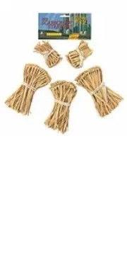 Scarecrow Straw Accessory Kit - The Wizard of Oz - Costume Accessories