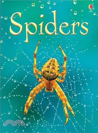 在飛比找三民網路書店優惠-Usborne Beginners: Spiders