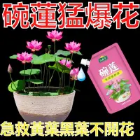 在飛比找蝦皮購物優惠-【全新陞級】碗蓮專用營養液 睡蓮肥料 通用 水溶肥 水培 促