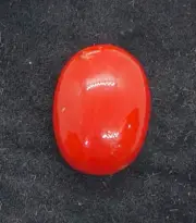 Natural Italian Red Coral Oval Shape 11.5 Carat-Expansive Red Coral Cabochon-