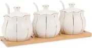 Condiment Jars Pots Set Lids and Spoons Ceramic Salt Pepper Box Container