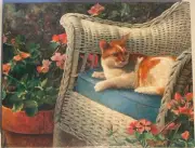 Springbok ~ "Princess of the Patio" ~ 500 Piece Jigsaw Puzzle ~ Factory Sealed