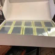 Mascon Medical MM-PT-TEC-1000 (96 well nested tip rack an 10 racks per box)
