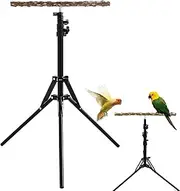 Bird Perch - Natural Wooden Toy for Parrot, Bird Cage Perch, Branch Perch, Accessories | Cockatiel Parakeets, Conures, Macaws, Finches, Wooden Stand for Parrot