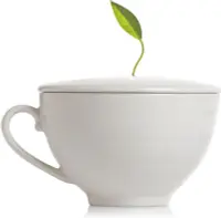 在飛比找Yahoo!奇摩拍賣優惠-風靡時尚名流圈 頂級茶品 Tea Forte 白瓷附蓋咖啡杯