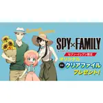 [全新現貨]日本7-11限定資料夾『SPY×FAMILY』A4資料夾 間諜家家酒 洛伊德 約兒 安妮亞