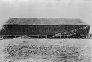 Haystack on 'Pine Park' Station Weatherboard Victoria 1915 OLD PHOTO