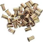 Holibanna 100pcs Carbon Steel Threaded Rivet Nuts Kit Flat Head Insert Nuts for Quick Automotive and Mechanical Installations