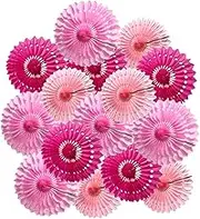 15pcs Pink Theme Paper Fans Decorations - 10'', 12'', 14'' Round Tissue Hanging Set With Honeycomb Fans for Birthday, Wedding, and Event Decor