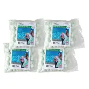 FILTERBALLS Minis Pool Filter 4 Bags Equals 4 Bags of Sand Super High-Efficiency