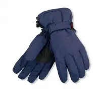 在飛比找蝦皮商城優惠-SNOWTRAVEL POLARTEC保暖透氣雙層防風手套 