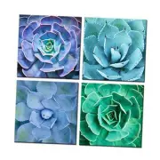 Canvas Set of 4 Wall Art Green Blue Succulent Plant Pictures Giclee Prints