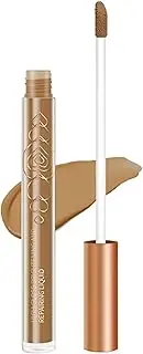 10Pcs Double Ended Highlighter and Contour Stick Creamy Concealer Makeup Pen Waterproof Lightweight Buildable Coverage Dark Brown One Size