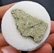 3.54 gram - Northwest Africa 12241 - Martian Shergottite Meteorite slice!