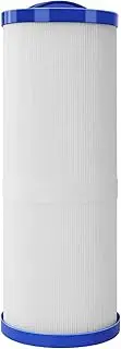 woejgo Spa Filter Cartridge for 4CH-949, Pool Filter Cartridge Replacement for PWW50L, Pool Filter for PWW50L, 4CH-949, FC-0172, SD-01143.50 sq. ft. (White x 1)