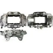 Protex Caliper Assembly - 090D0219