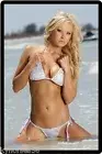 Sexy Busty Model In Silver String Bikini B43 Refrigerator Magnet