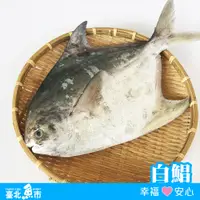 在飛比找鮮拾優惠-【臺北魚市】 白鯧(500g~550g/尾) *2尾