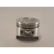 Austral Piston Set - PO732 040