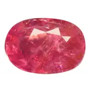 1.86 Ct. Marvelous Top Hot Red Unheated Ruby WITH GLC CERTIFY