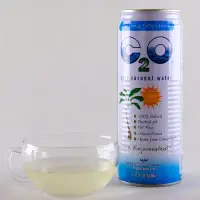 在飛比找環球Online優惠-美國熱銷C2O椰子水(520ml)12瓶