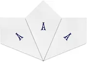 [Warwick & Vance] 3 Pack Of Mens/Gentlemens White Satin Bordered Handkerchiefs With Blue Embroidered Initials