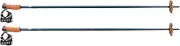 LEKI Patrol S Ski Sticks 65168211 Alpine Poles - Fixed Length - Incl. 4 Plate